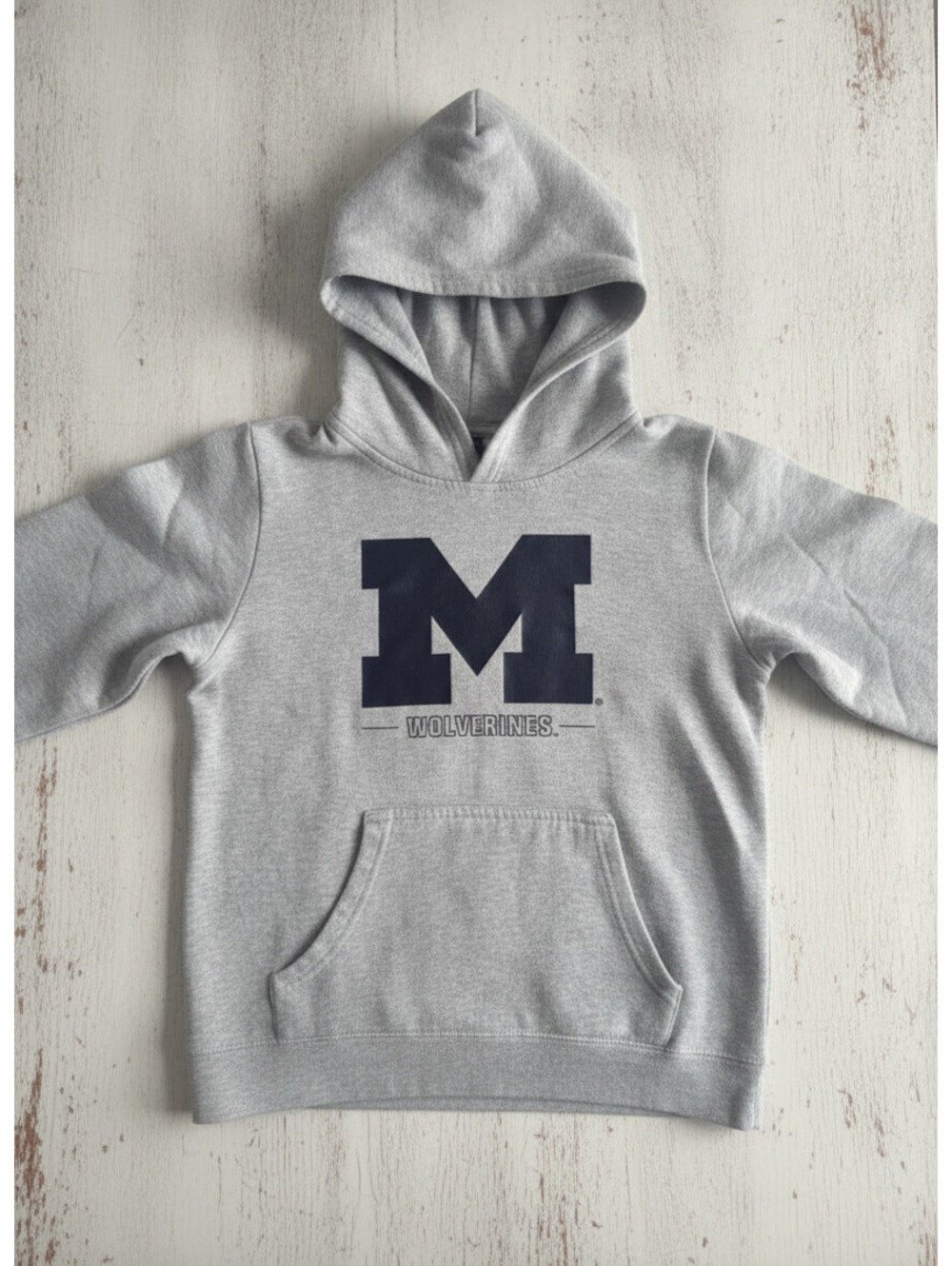Youth Gray Michigan Wolverines Hoodie with Black 'M' Logo and 'WOLVERINES' Text